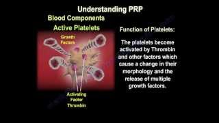 Platelet Rich Plasma Therapy  Everything You Need To Know  Dr Nabil Ebraheim [upl. by Sholes]