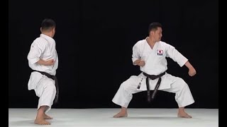 Gekisai Dai Ichi Kata Instructional [upl. by Airetas]