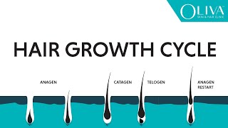 Natural Hair Growth Cycle Explainer Video On Anagen Catagen amp Telogen Phases [upl. by Fira]