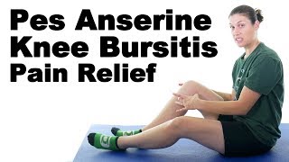 Pes Anserine Knee Bursitis Stretches amp Exercises  Ask Doctor Jo [upl. by Clementas]