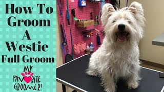 How to Groom a West Highland White Terrier [upl. by Fording]