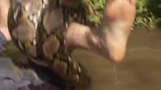 Nigel Marven wrestles an enormous reticulated python [upl. by Uda]