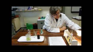 Hill Reaction experiment [upl. by Haleak]