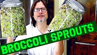 How To Grow Broccoli Sprouts At Home  SUPER EASY [upl. by Darnell412]