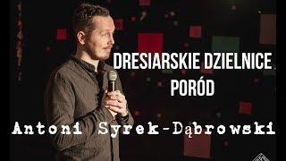 Antoni SyrekDąbrowski  Dresiarskie dzielnice i Poród  Standup Polska [upl. by Maidel106]