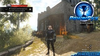 Witcher 3 Best Sword EARLY Location – The MoonBlade Silver Sword Relic Starter Guide [upl. by Arret]