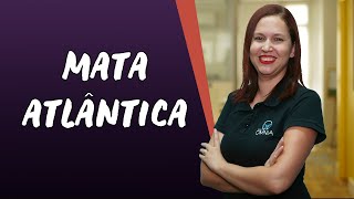 Mata Atlântica  Brasil Escola [upl. by Attekram]