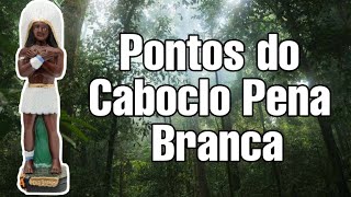 PONTOS DO CABOCLO PENA BRANCA COM LETRA  RICK DE OXUM [upl. by Barbaresi]