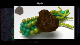 How Decomposition Works Part 1 [upl. by Rubio]