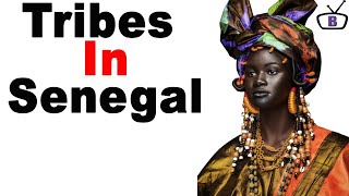 Major ethnic groups in Senegal and their peculiarities [upl. by Artenal]