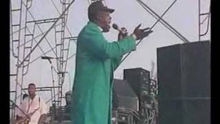 Barrington levy  Too experienced [upl. by Nollie]