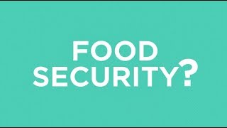 What is food security [upl. by Ingaberg]