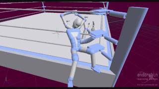 Endorphin Wrestling Project V5 [upl. by Airotcivairam]