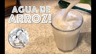 Agua de Arroz  Agua de Horchata [upl. by Nymassej870]