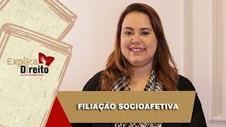 Explica Direito Filiação Socioafetiva  2019 [upl. by Ecnarolf915]