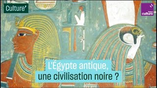 LÉgypte antique une civilisation noire  La thèse controversée de Cheikh Anta Diop [upl. by Timofei]