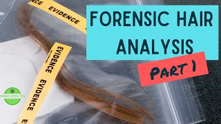 Forensic Science and Hair Analysis Part 1 [upl. by Asserak]