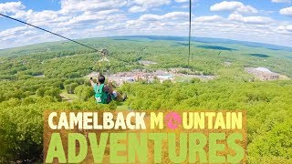 Camelback mountain zipline SOARING CAMEL 4000 TWIN ZIPFLYER [upl. by Beora]