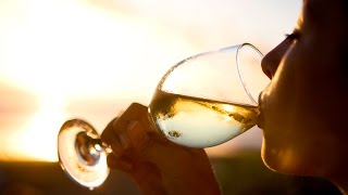 A winelovers guide to Pinot Grigio  The World of Wine [upl. by Gasper]