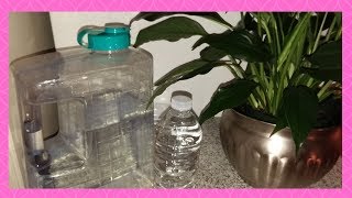 Proper way to Watering Peace Lily  Part 6 [upl. by Channa]