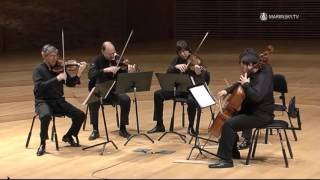 Franz Schubert String Quintet in C Major D 956 [upl. by Garbers]