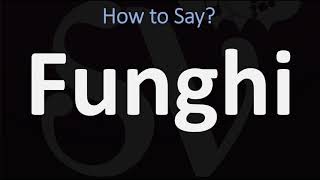 How to Pronounce Funghi CORRECTLY [upl. by Enyahs]