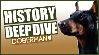 The History of the DOBERMAN [upl. by Annahsar628]