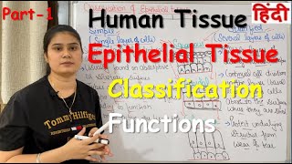 Tissue in Hindi  Epithelial Tissue  Functions  Classification  Part1 [upl. by Richie]