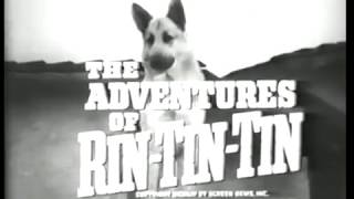 Meet Rin Tin Tin S1 Ep1 The Adventures of Rin Tin Tin [upl. by Elodea]