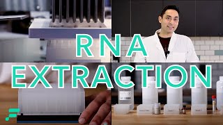 RNA Extraction Demonstration [upl. by Petrick]