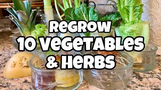 10 Vegetables You Can Regrow from Kitchen Scraps  Get FREE SEEDS [upl. by Nedap453]