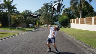 MAGPIES ATTACKED US  the swooping magpie challenge [upl. by Yeslehc]