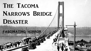 The Tacoma Narrows Bridge Disaster  A Short Documentary  Fascinating Horror [upl. by Judie853]