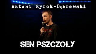 Antoni SyrekDąbrowski  Sen Pszczoły  Standup Polska [upl. by Thomajan696]