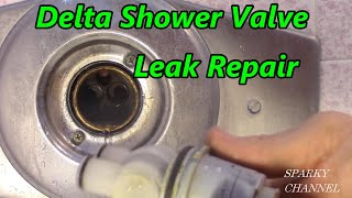 Delta Single Handle Shower Valve Leak Repair 1314 Series [upl. by Alyahc]