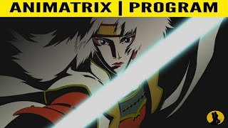 THE ANIMATRIX  Program  Fnally Explained [upl. by Tedder]