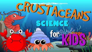 What are Crustaceans  Science for Kids [upl. by Nnylekoorb]