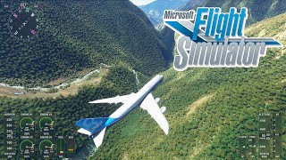 Meine Grafiksettings amp Tipps dazu ★ Microsoft FLIGHT SIMULATOR deutsch [upl. by Vaughan]