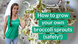 How to Grow Broccoli Sprouts [upl. by Silevi275]