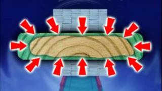 Preservative Wood Treatment Process [upl. by Barney]