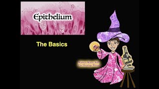 Epithelium The Basics [upl. by Mosier16]