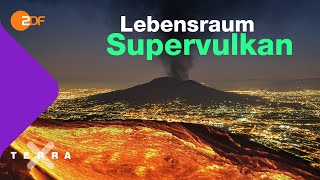 Leben mit dem Supervulkan  Terra X plus [upl. by Atiuqad667]