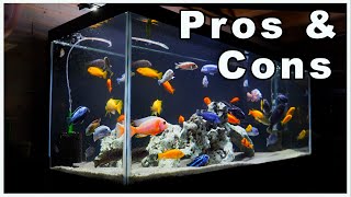 75 Gallon Aquarium Pros and Cons So Many Options [upl. by Sivart]