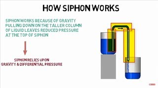 How siphon works [upl. by Bernstein]