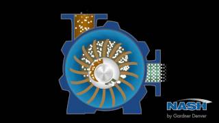 NASH Liquid Ring Vacuum Pump  How It Works [upl. by Animar632]