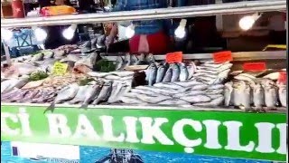 Fethiye Fish Market [upl. by Enahpets]