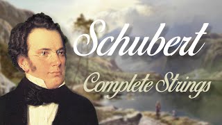 Schubert Complete String Quartets [upl. by Tersina]