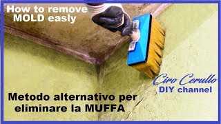 ELIMINARE la MUFFA tutorial rimozione muffa veloce Remove MOLD with little expense AlcasItalia [upl. by Meensat224]