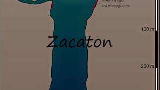 How to Pronounce Zacaton [upl. by Dnartreb]