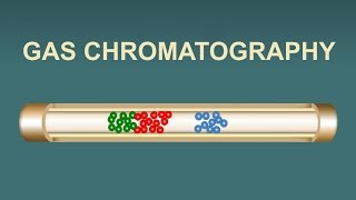 Gas Chromatography IQOGCSIC [upl. by Nelluc]